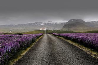 From Reykjavik: 6-Day Summer Tour Around Iceland by Minibus