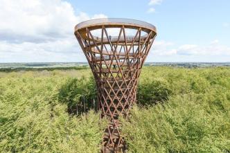 From Copenhagen: Forest Tower & Forgotten Giants Tour