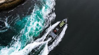 From Bodø: White-Tailed Eagle & RIB Safari to Saltstraumen